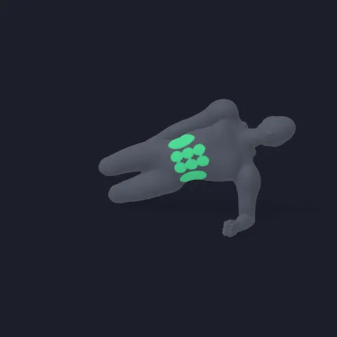 Kneeling Side Plank demo