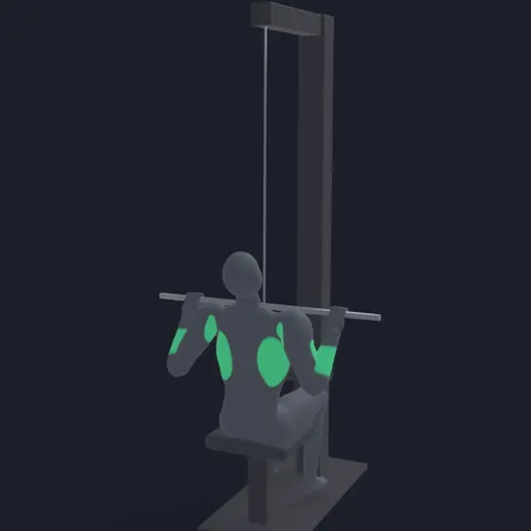Lat Pulldown with Pronated Grip demo