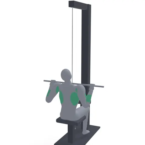 Lat Pulldown with Pronated Grip demo