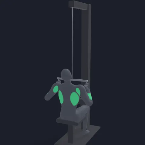 Lat Pulldown with Neutral Grip demo