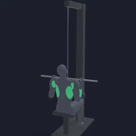 Lat Pulldown with Supinated Grip demo