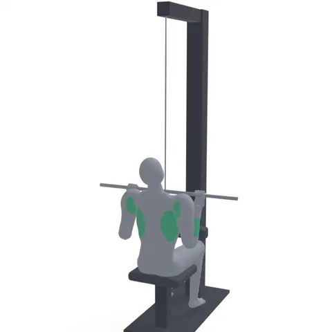 Lat Pulldown with Supinated Grip demo