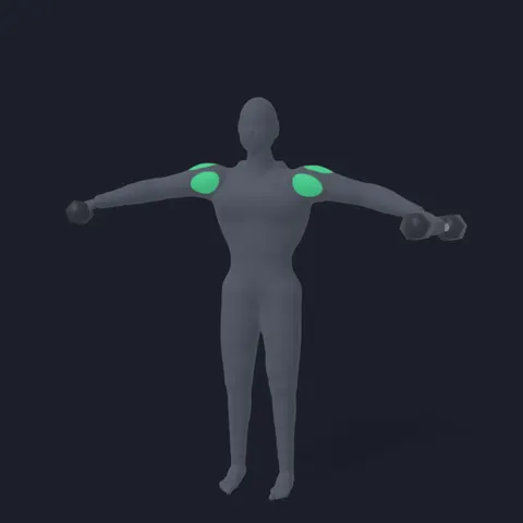 Dumbbell Lateral Raise demo