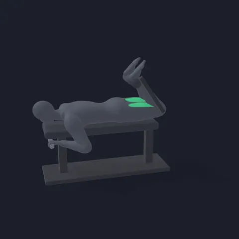 Lying Leg Curl demo