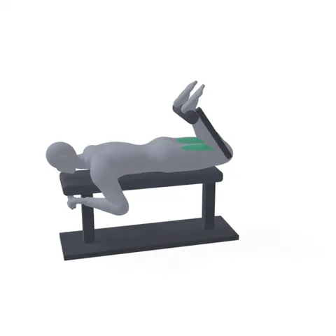Lying Leg Curl demo
