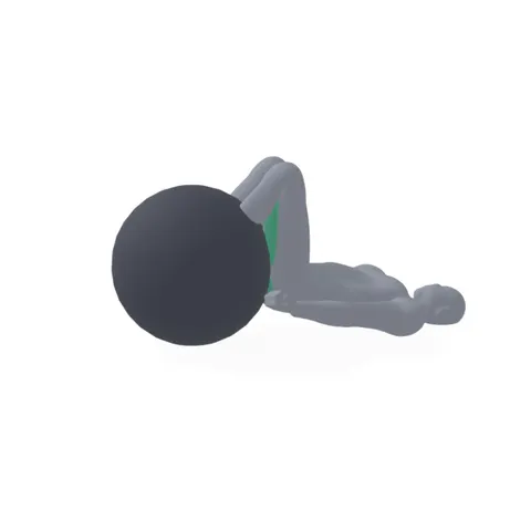 Leg Curl on Ball demo