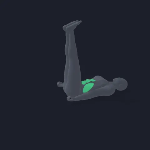 Lying Leg Raise demo