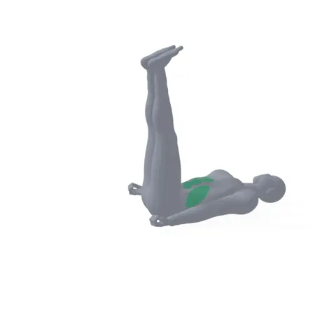 Lying Leg Raise demo