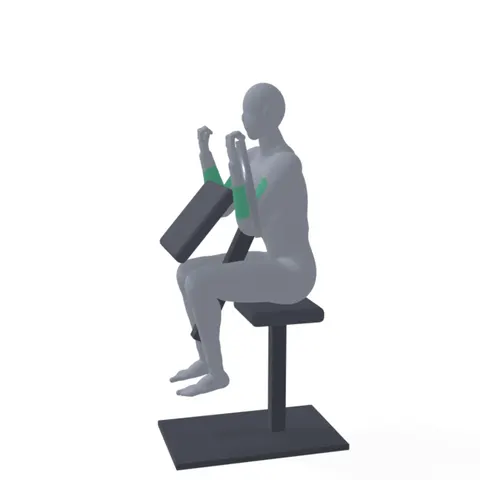 Machine Bicep Curl demo
