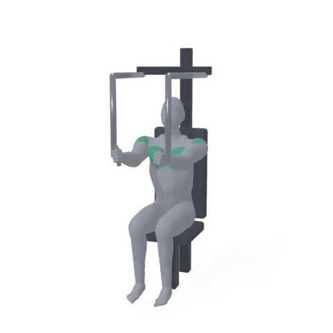 Machine Chest Fly demo