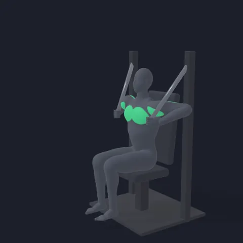 Machine Chest Press demo