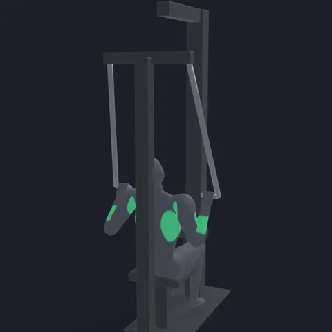 Machine Lat Pulldown demo