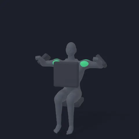 Machine Lateral Raise demo