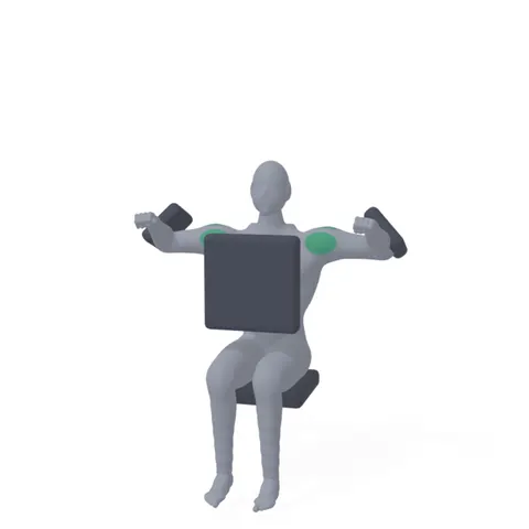 Machine Lateral Raise demo
