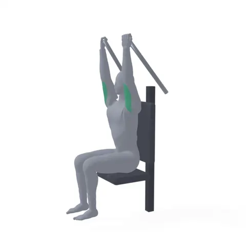 Machine Overhead Triceps Extension demo