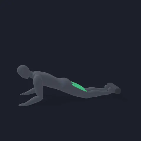 Nordic Hamstring Eccentric demo