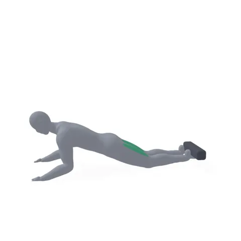 Nordic Hamstring Eccentric demo