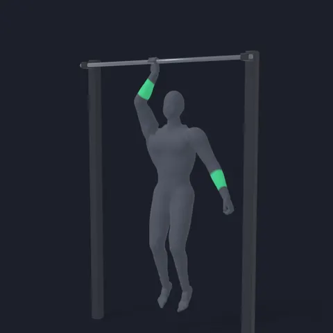 One-Handed Bar Hang demo