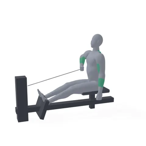 Single-Arm Cable Row demo