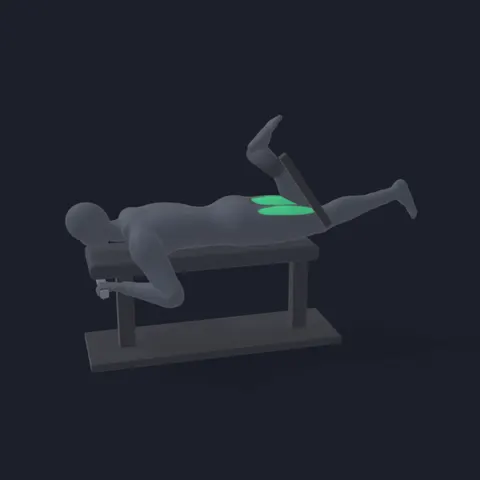 One-Legged Lying Leg Curl demo