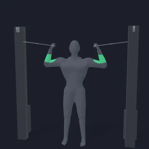 Overhead Cable Curl demo