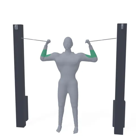 Overhead Cable Curl demo