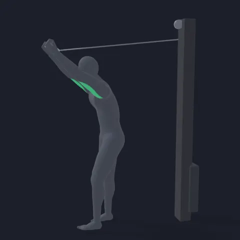Overhead Cable Triceps Extension (Upper Position) demo