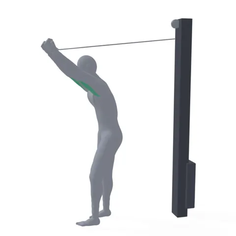 Overhead Cable Triceps Extension (Upper Position) demo