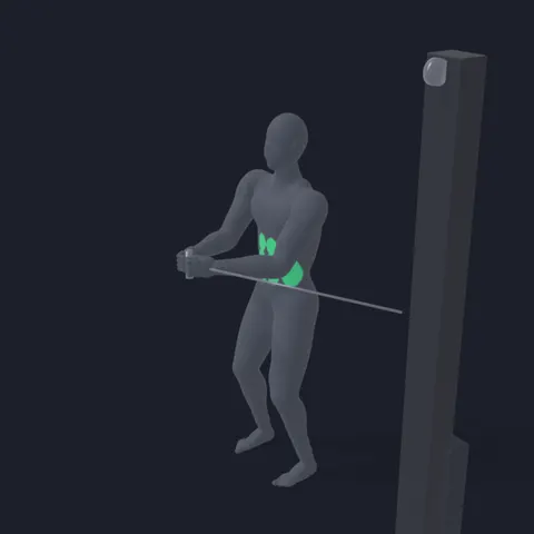 Pallof Press demo