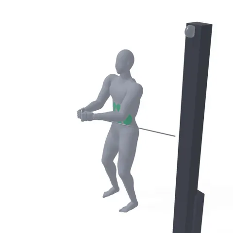 Pallof Press demo