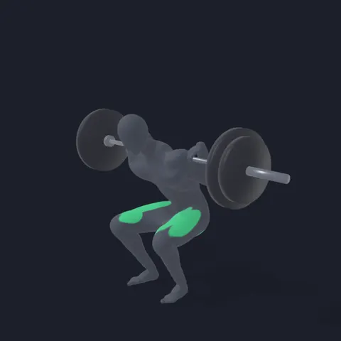 Pause Squat demo