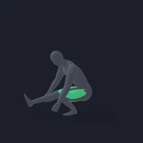 Pistol Squat demo
