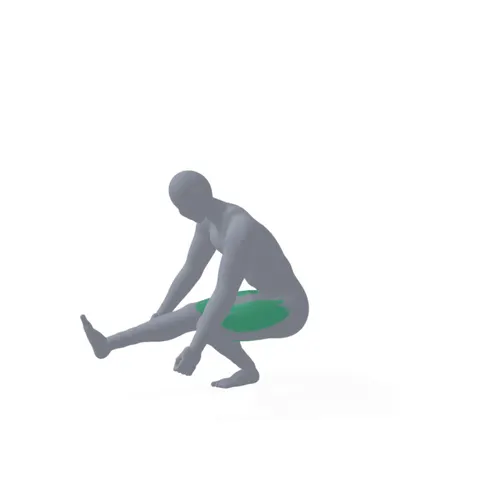 Pistol Squat demo