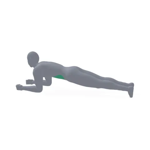 Plank demo