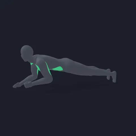 Plank to Push-Up demo
