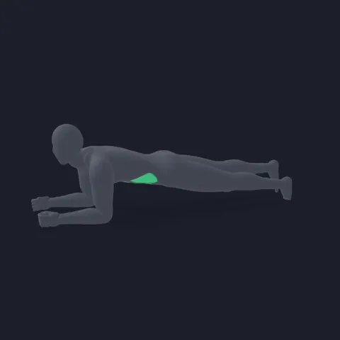 Plank with Leg Lifts demo