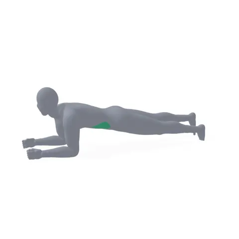 Plank with Leg Lifts demo