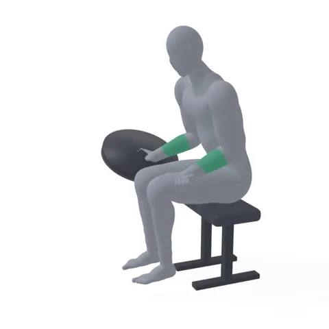 Plate Wrist Curl demo