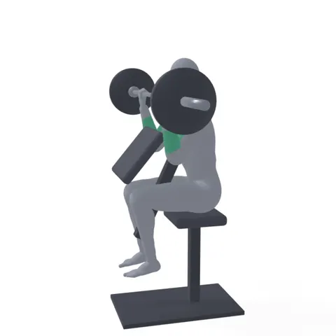 Preacher Curl demo