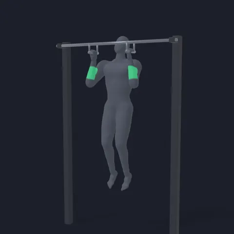 Pull-Up with a Neutral Grip demo