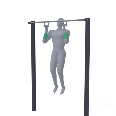 Pull-Up with a Neutral Grip demo