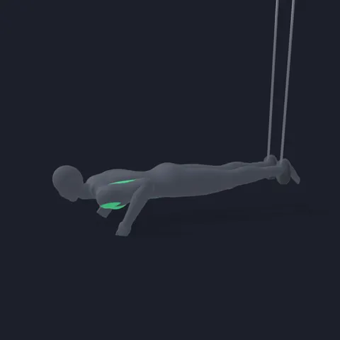 Push-Ups with Feet in Rings demo