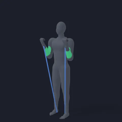 Resistance Band Curl demo