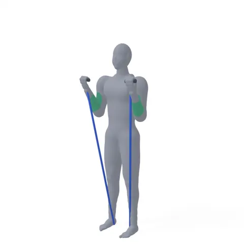 Resistance Band Curl demo