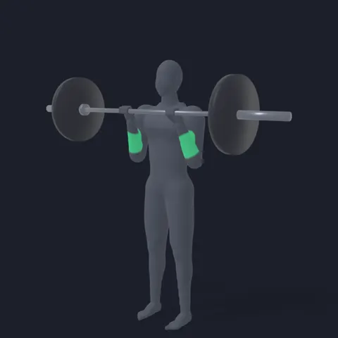 Reverse Barbell Curl demo