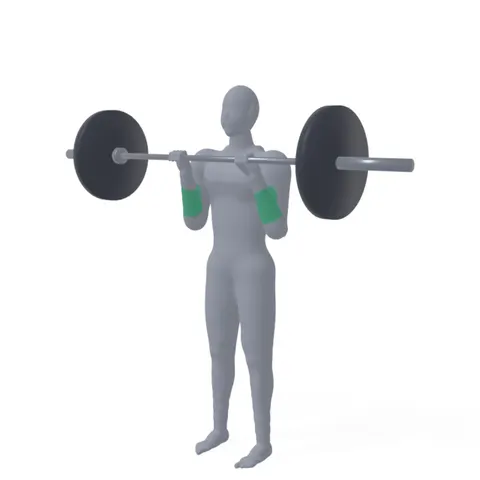 Reverse Barbell Curl demo