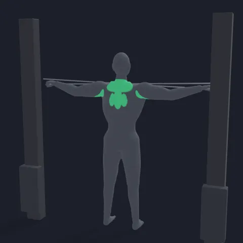 Reverse Cable Fly demo