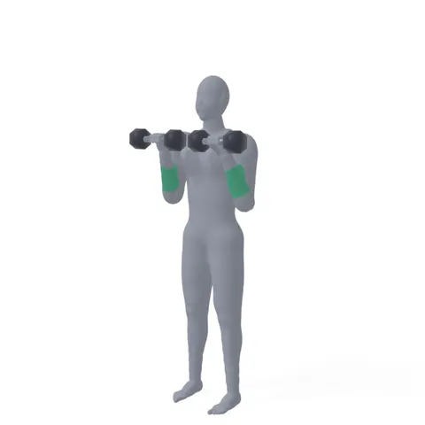 Reverse Dumbbell Curl demo