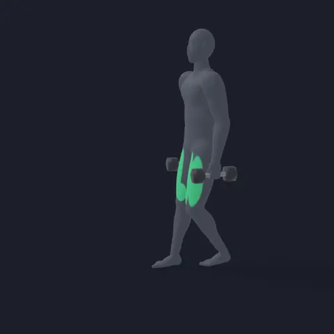 Reverse Dumbbell Lunge demo