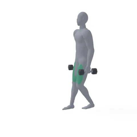 Reverse Dumbbell Lunge demo